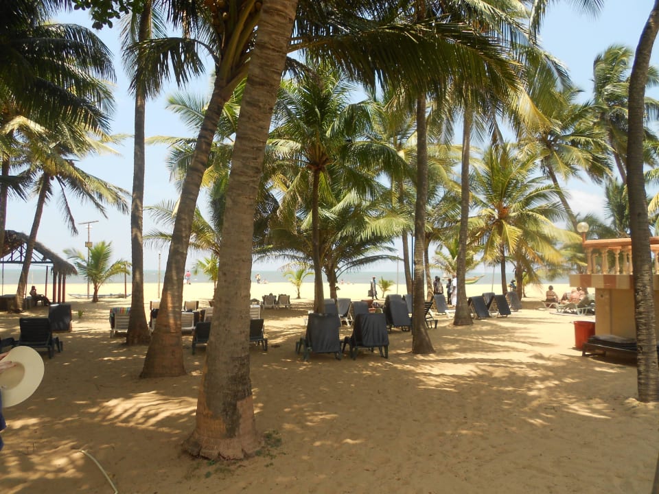 Strand Hotel Golden Star Beach