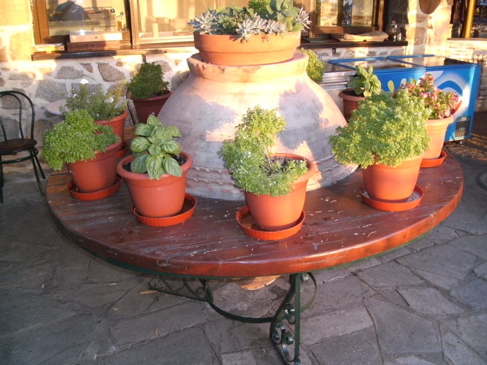 Restaurant Hotel Geranion Village