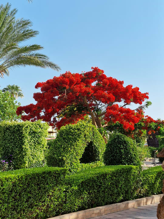 Außenansicht Golden Beach Resort