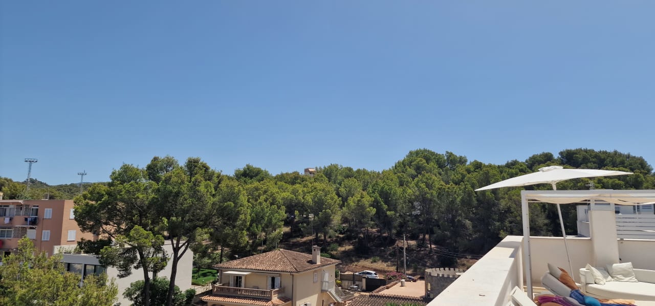 Ausblick Hotel Morlans Suites