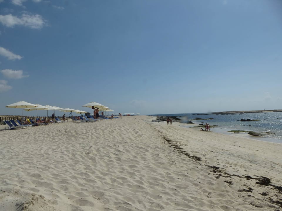 Mit Felsen und Kelp Wyndham Garden Salalah Mirbat