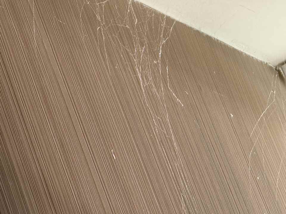 Zimmer Remisens Hotel Albatros