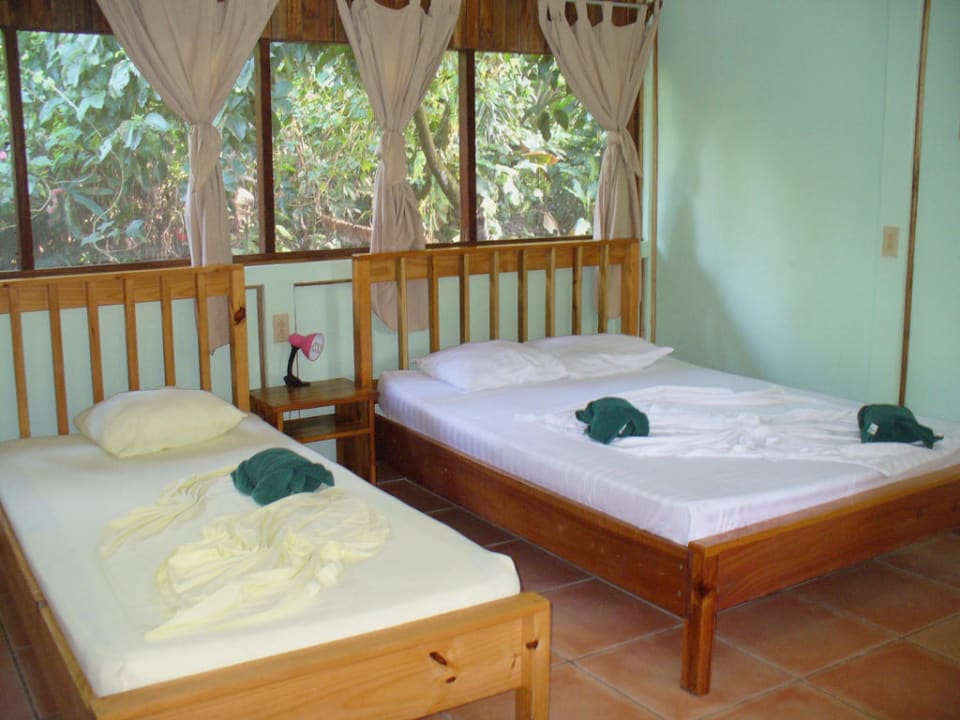 Zimmer Hotel Turtle Beach Lodge