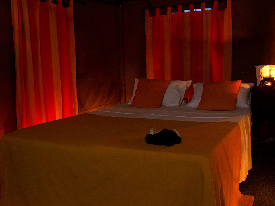 Tent interior view Mahoora Tented Safari Camp - Wilpattu