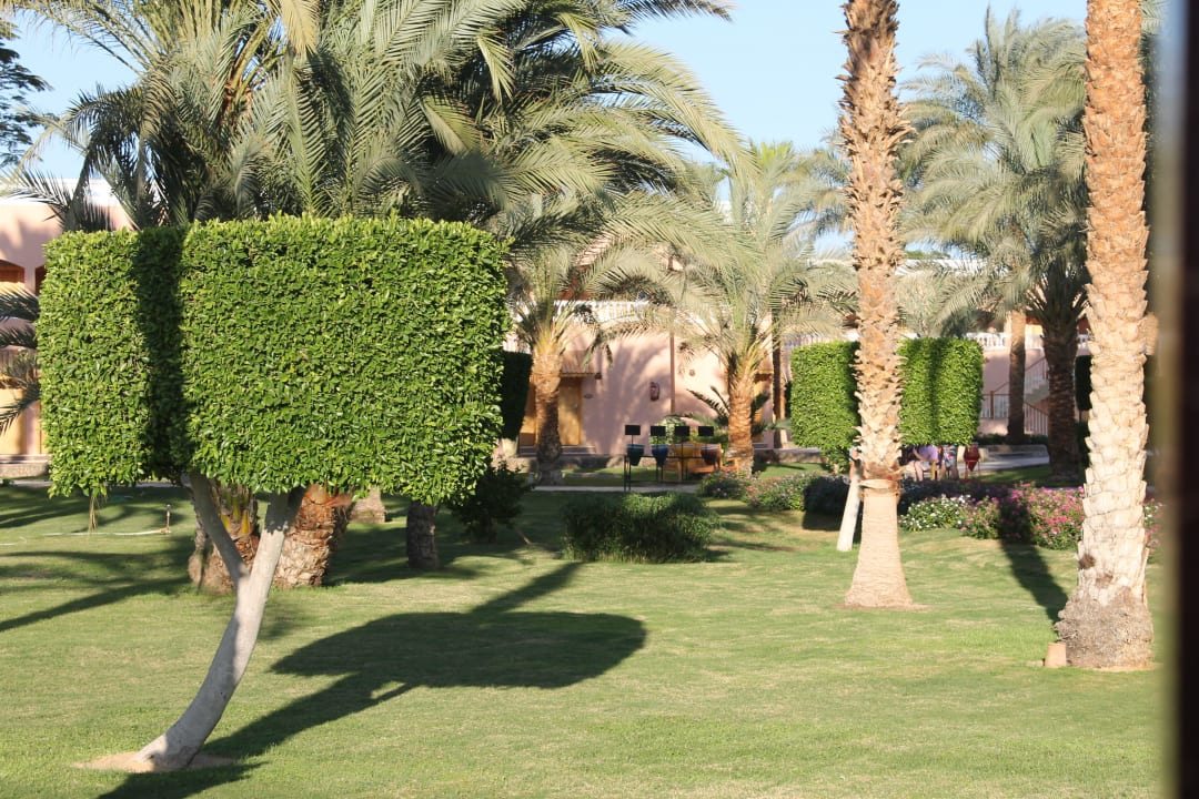 The garden Beach Albatros Resort