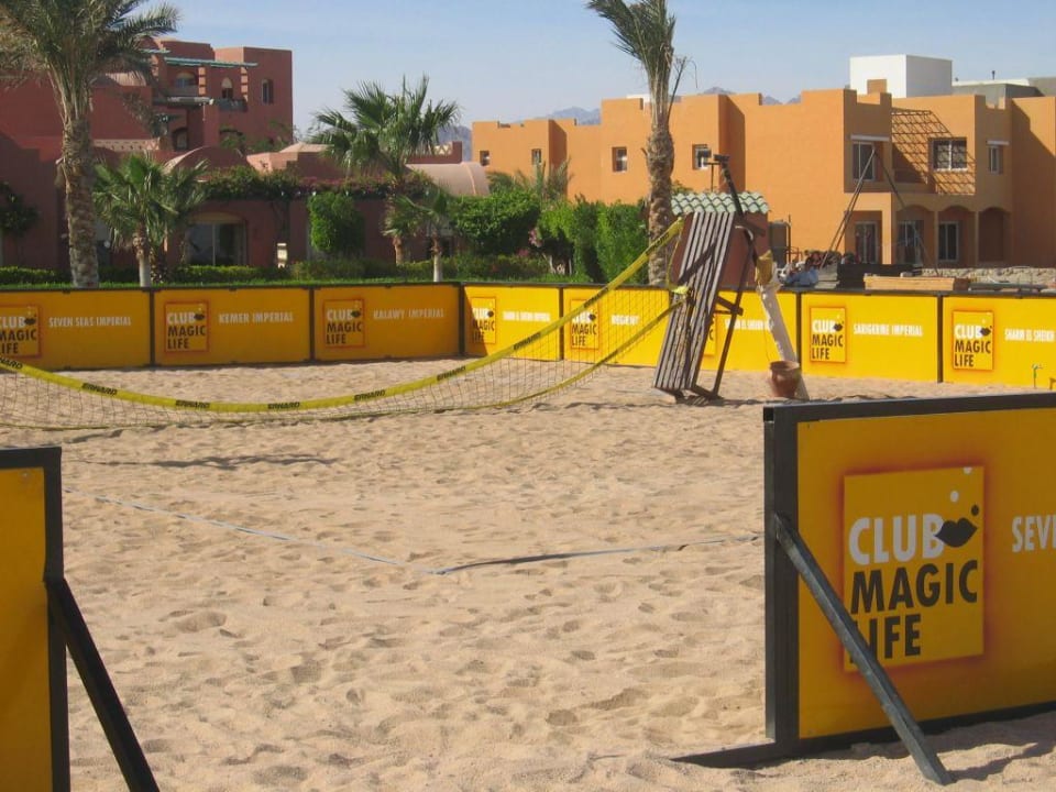 Motivierte Volleyball Animation TUI MAGIC LIFE Redsina Sharm El Sheikh