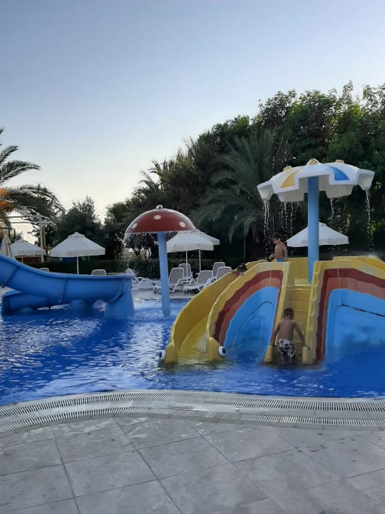 Pool Seaden Sea Planet Resort & Spa