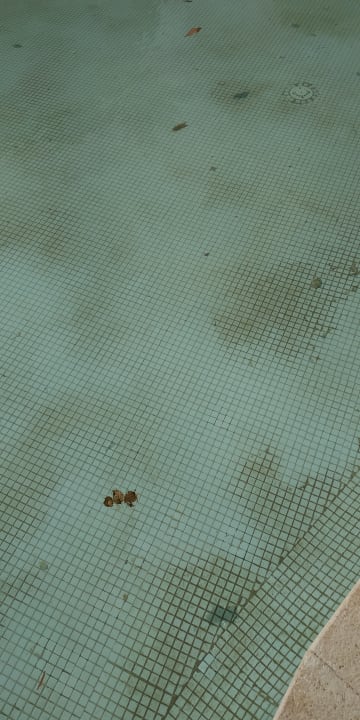 Pool Ghazala Gardens