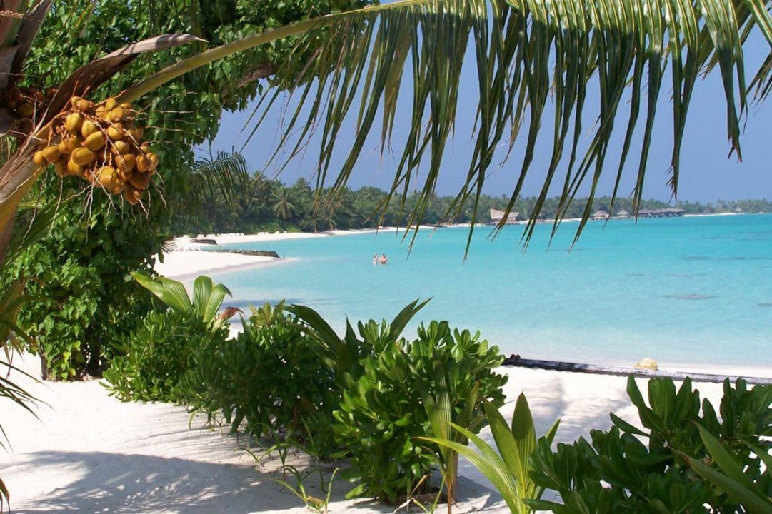 Strandansicht Kuramathi Maldives