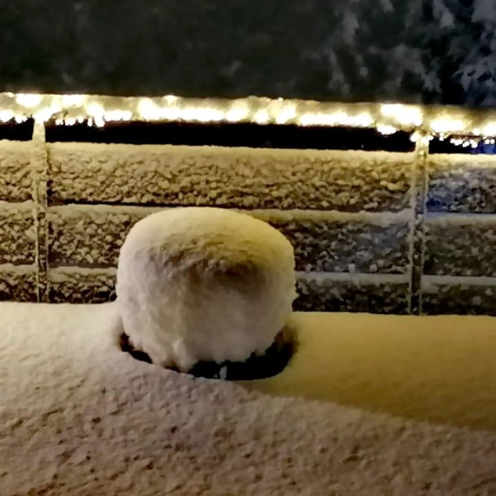 Ausblick Parkhotel Waldlust