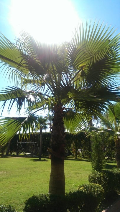 Gartenanlage Saphir Hotel & Villas