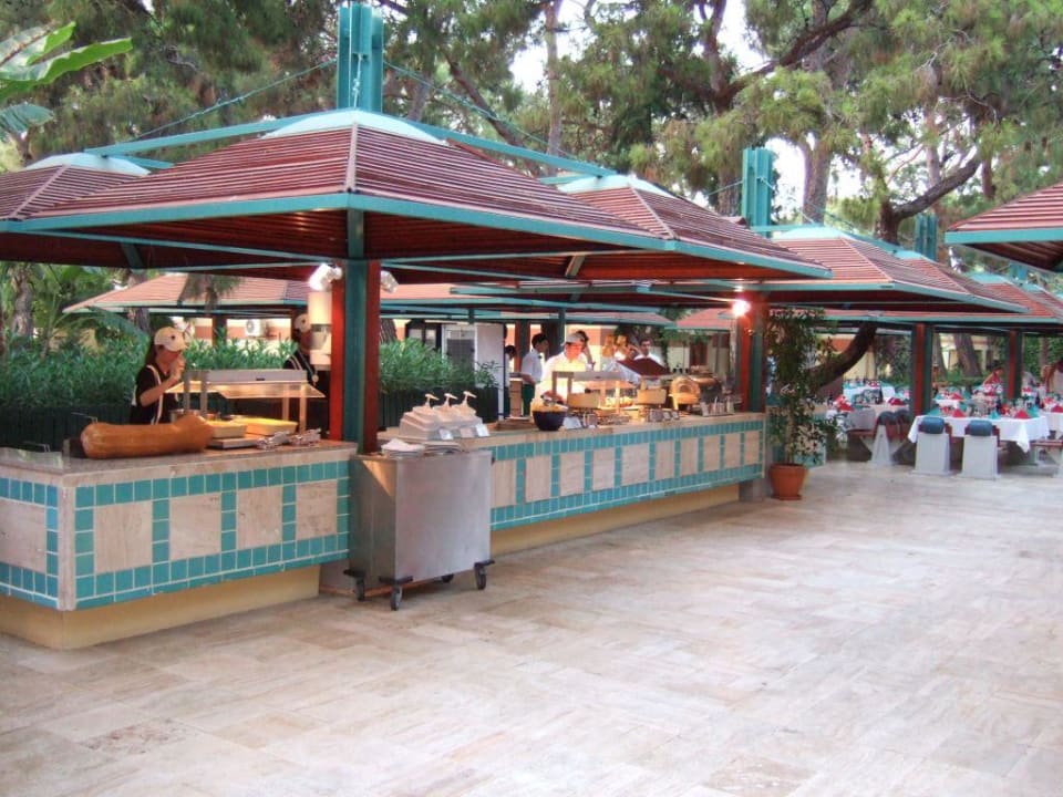 Essenzeit  ROBINSON ÇAMYUVA