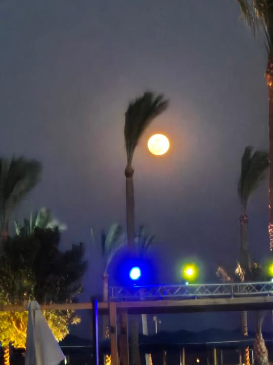 Gartenanlage Continental Hotel Hurghada