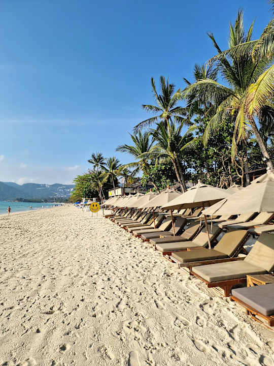 Strand Banana Fan Sea Resort