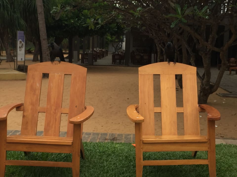 Pool Hotel Jetwing Beach