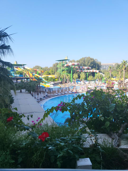 Ausblick Crystal Sunset Pearl Collection