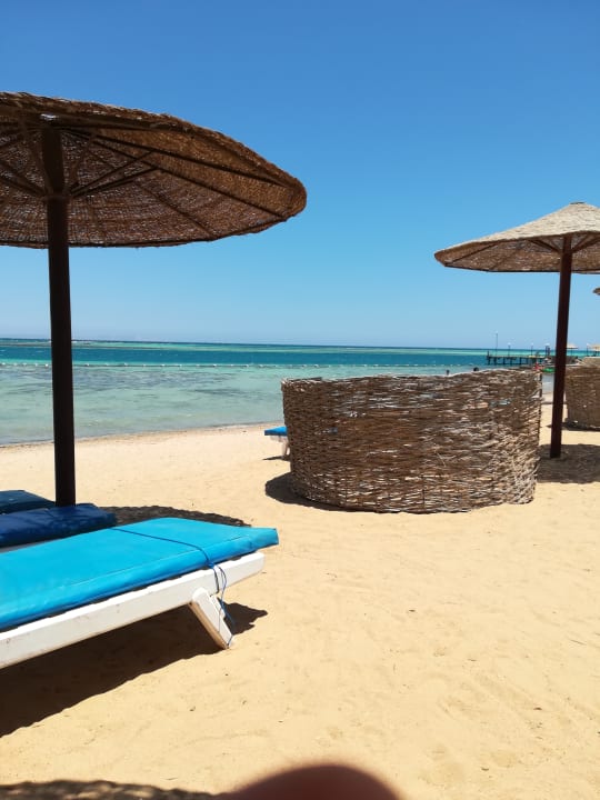 Strand Sea Star Beau Rivage