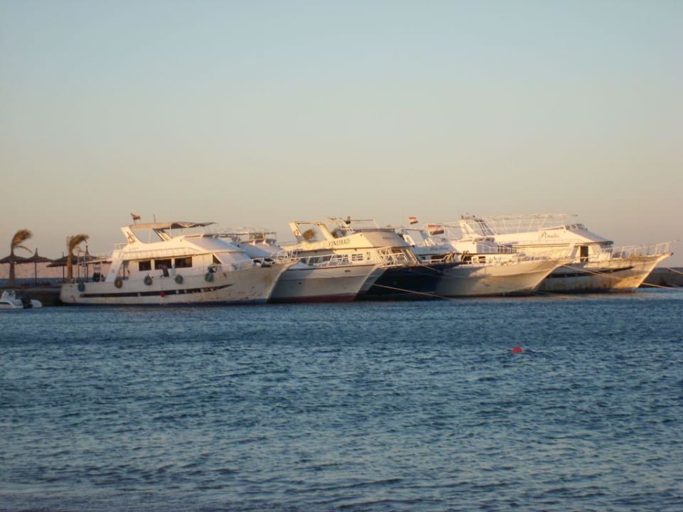 Die Ausflugsschiffe des Hotels Beach Albatros Resort