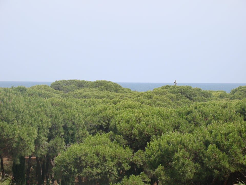 Widok z pokoju na lasek piniowy i ocean TUI BLUE Isla Cristina Palace