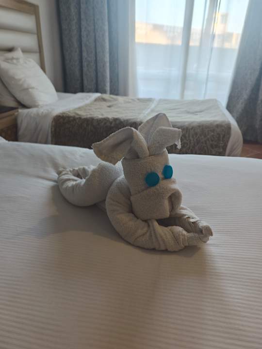 Zimmer Beach Albatros Resort