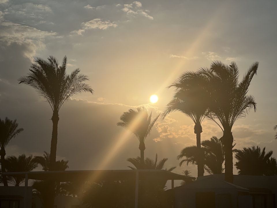 Ausblick Pharaoh Azur Resort