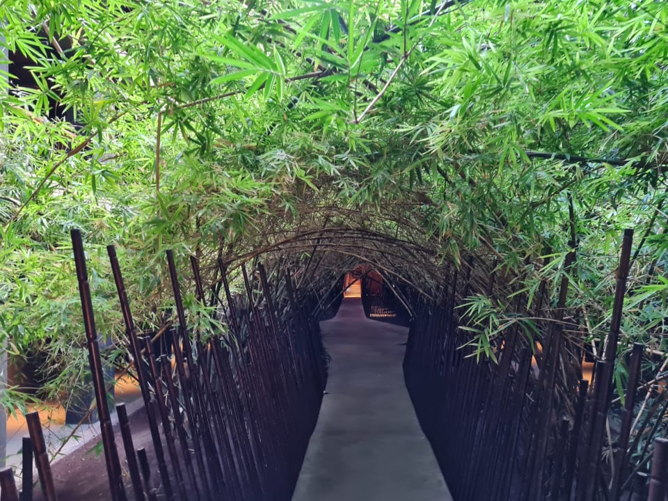 Gartenanlage Lopesan Baobab Resort