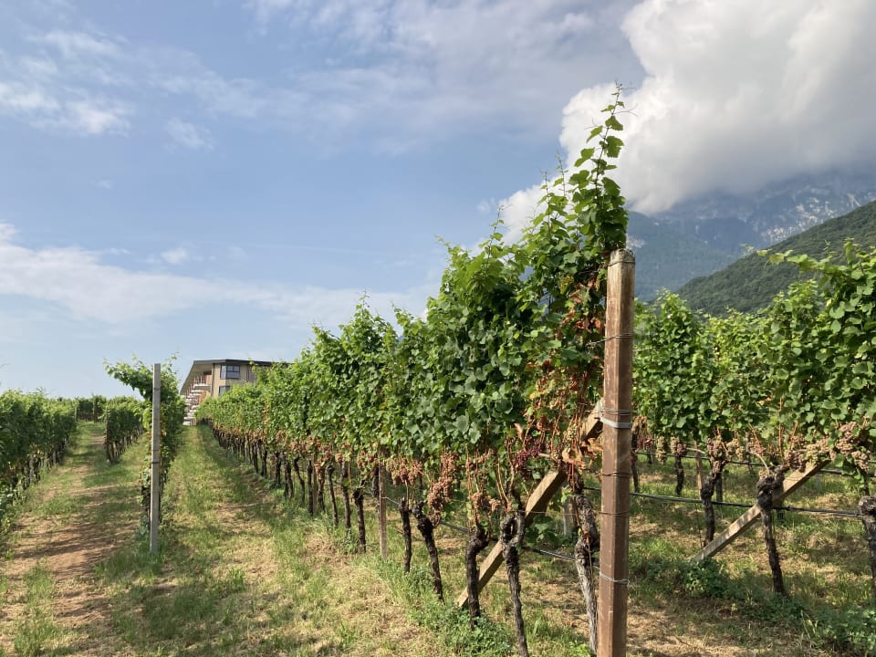 Außenansicht Hotel Plattenhof