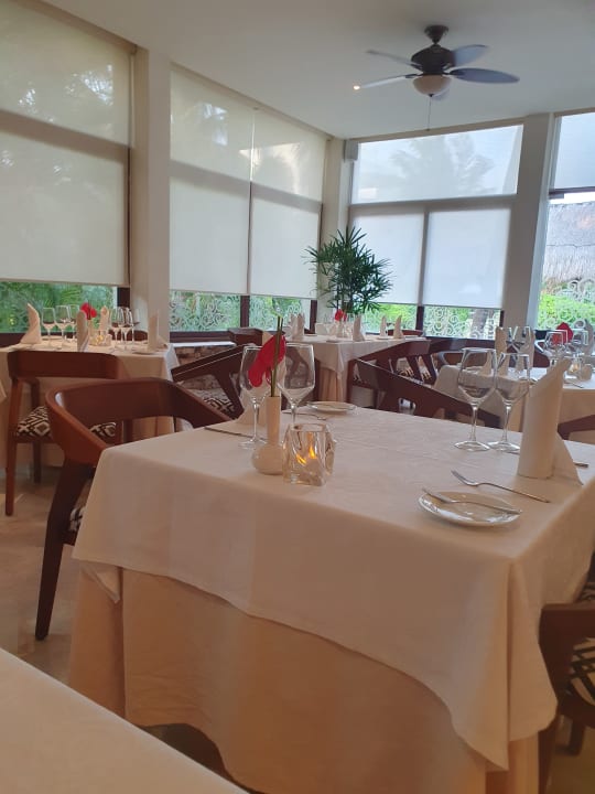 Gastro Akumal Bay Beach & Wellness Resort