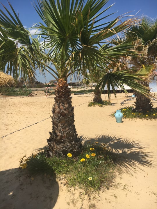 Strand Hotel Paradis Palace