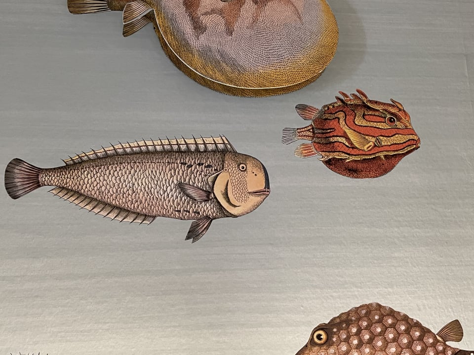 Zimmer Hotel Continental Genova