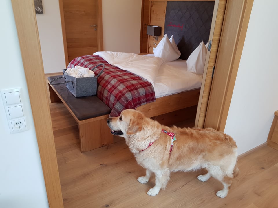 Zimmer Hotel Lindenhof