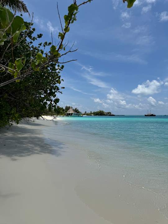 Strand Safari Island Maldives