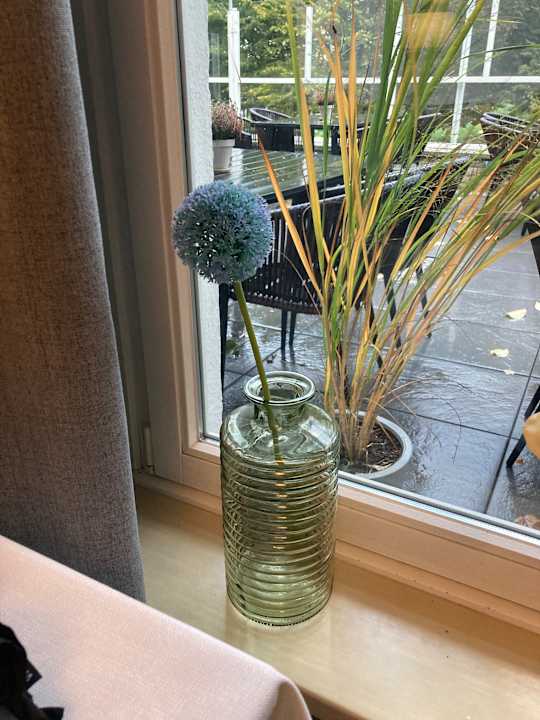 Gastro Seehotel Frankenhorst - BW Signature Collection