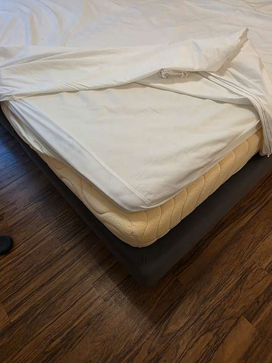 Zimmer Schlosshotel Bad Wilhelmshöhe Conference & Spa