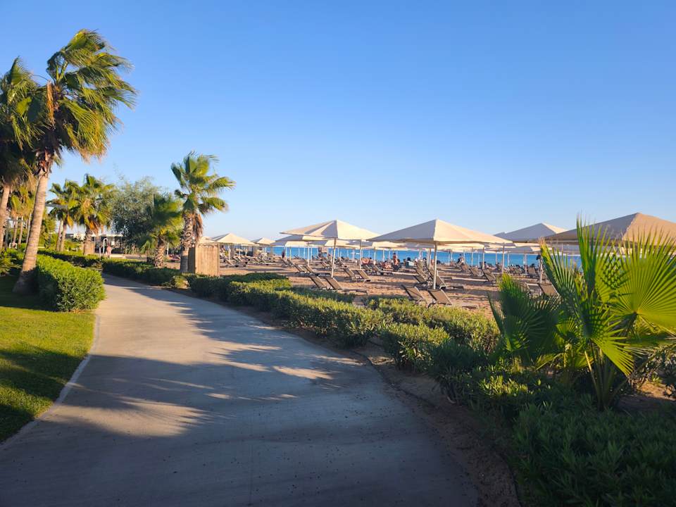 Strand Paloma Finesse
