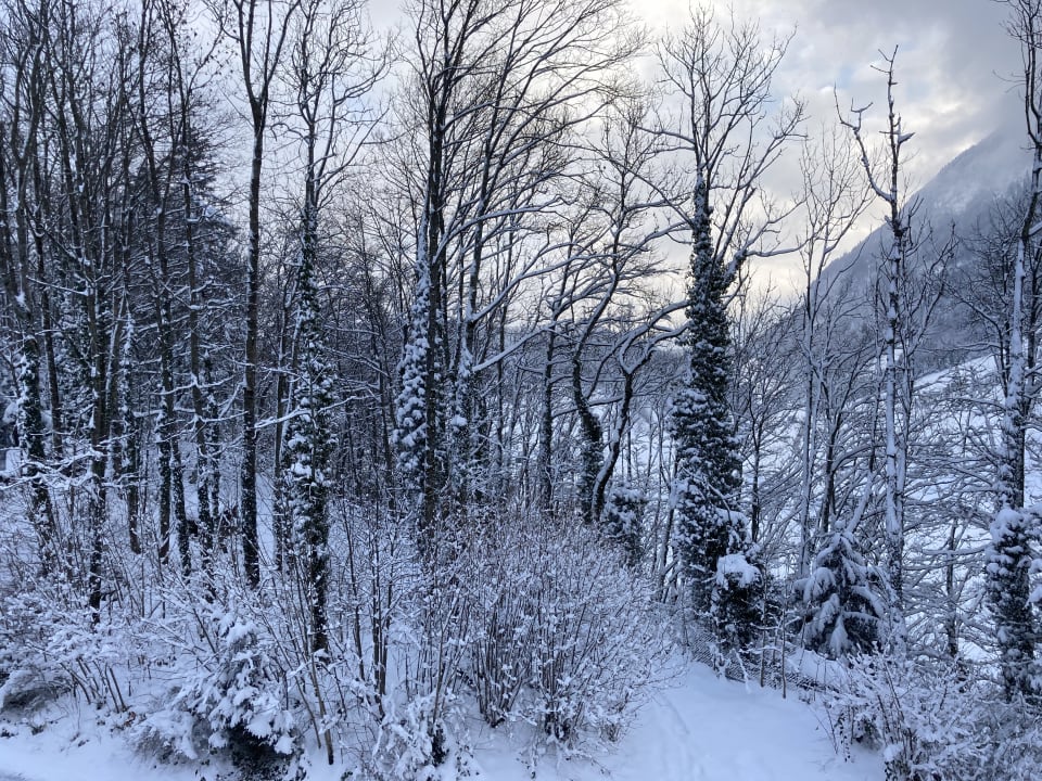 Ausblick Seeblick Höhenhotel