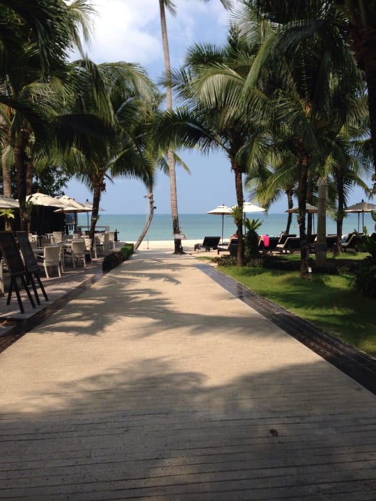 Weg zum Strand Hotel The Dewa Koh Chang