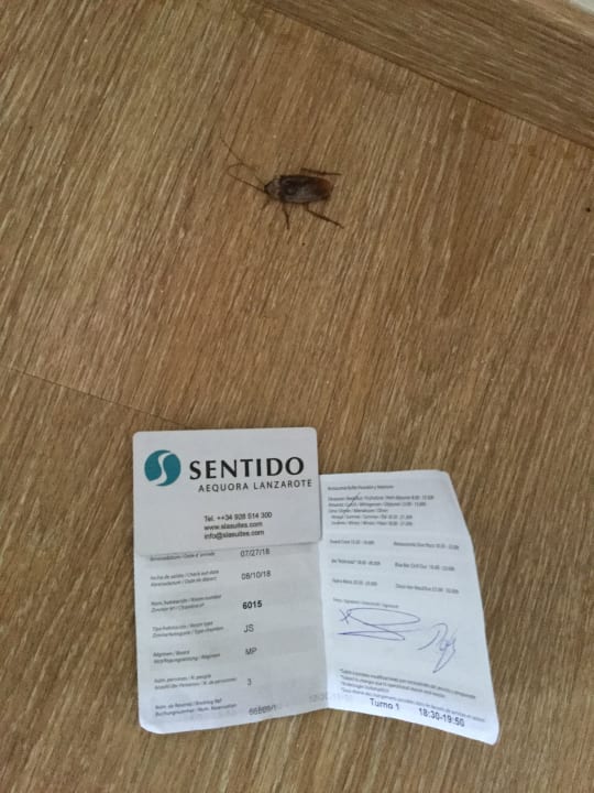 Zimmer Sentido Aequora Lanzarote Suite