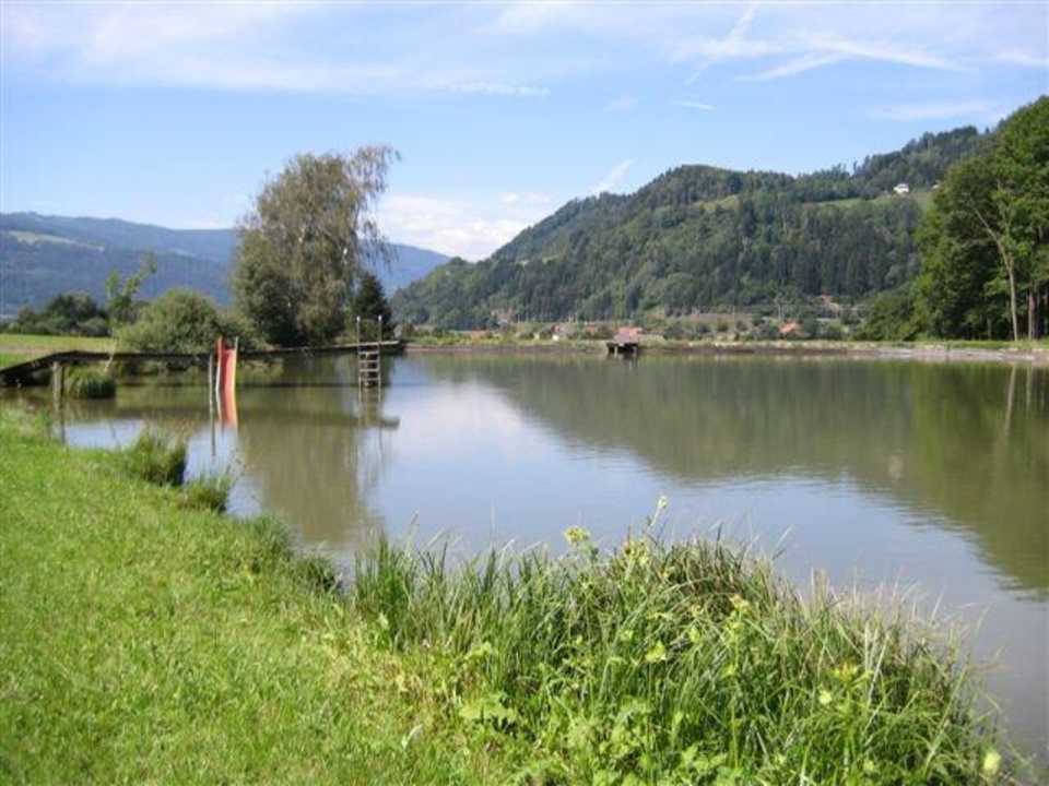Badeteich mit Weitblick Bio & Gesundheitsbauernhof Pilgramhof