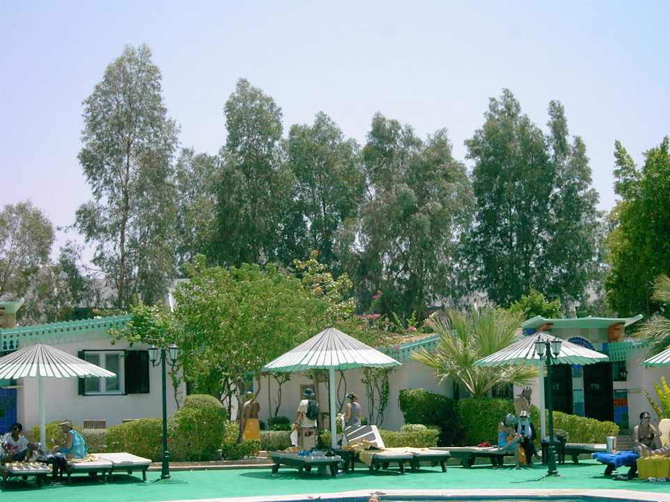 Bungalows direkt am Pool Ghazala Beach