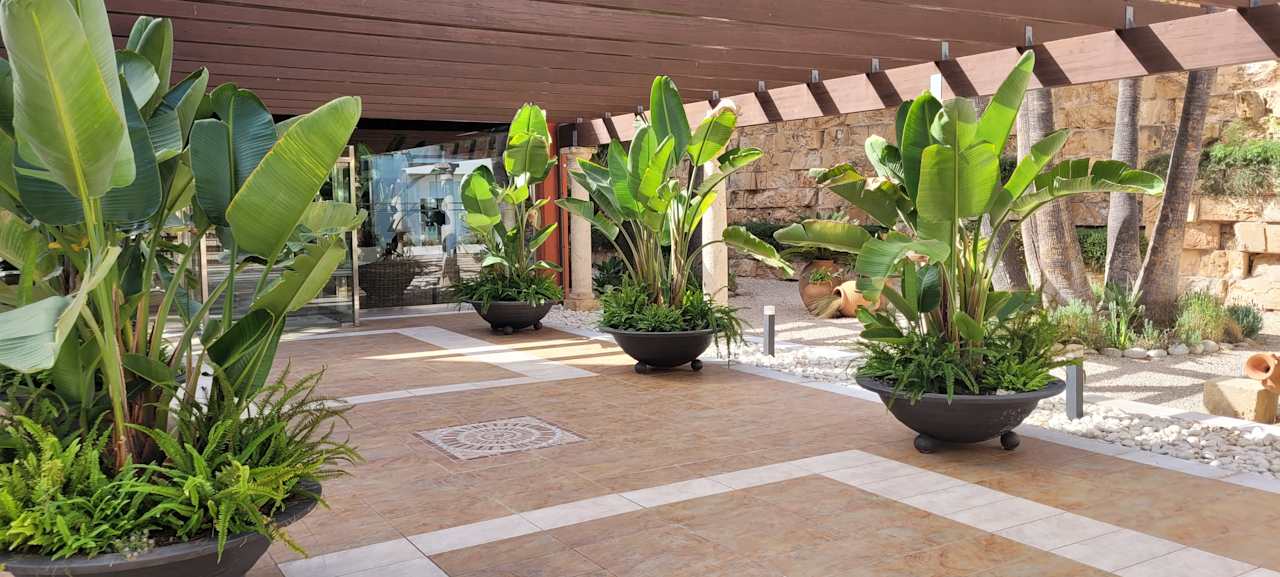 Gartenanlage allsun Hotel Cormoran