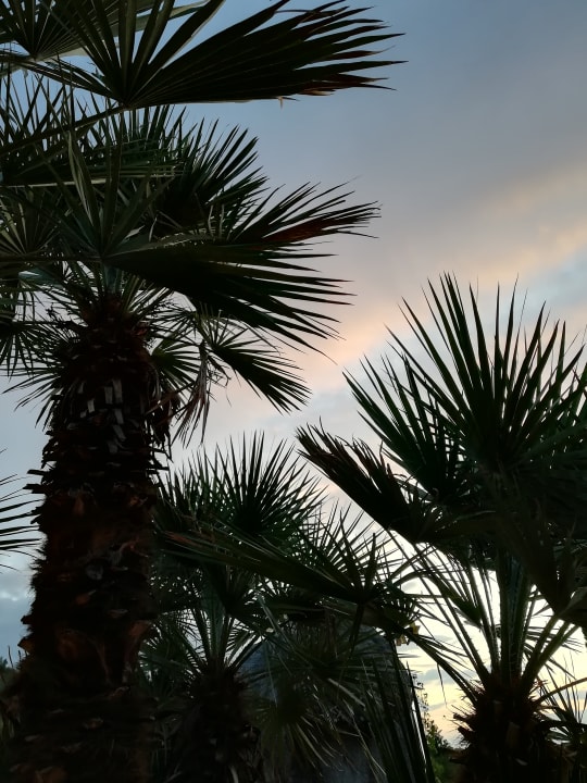 Gartenanlage Hotel Restaurant Rebstock Durbach