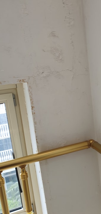 Zimmer Well Palace Side