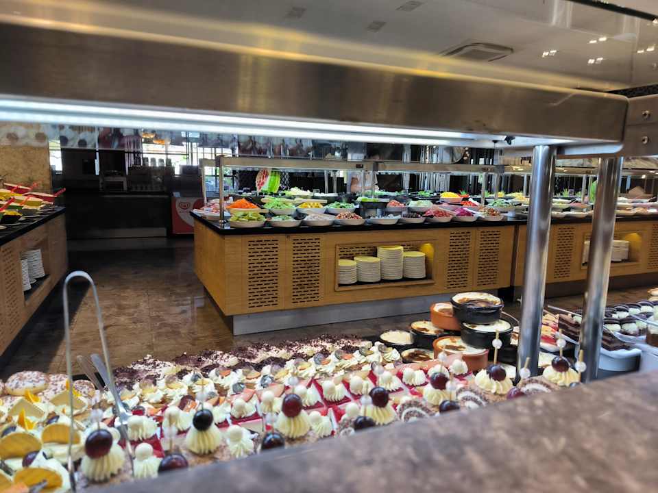 Gastro Seashell Vega