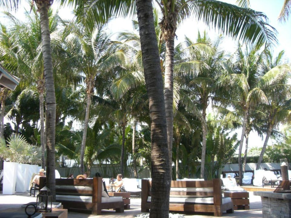 Gartenanlage The National Hotel The National