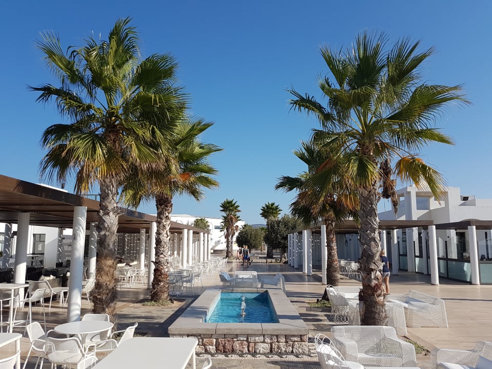 Sonstiges Atlantica Plimmiri