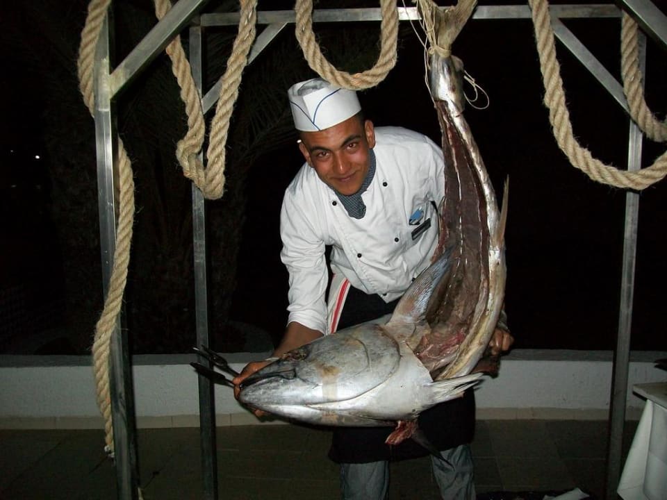 Thunfisch mit Koch Hotel El Mouradi Djerba Menzel