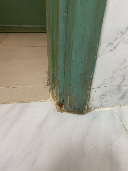 Zimmer Giftun Azur Resort