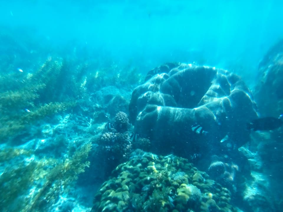 Strand Hotel Villas Caroline