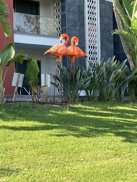 Außenansicht Megasaray Club Belek